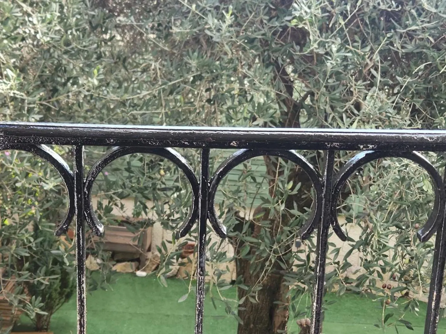 Proche Centre Ville, Gip Asfo, Vue Sur Le Jardin Grasse